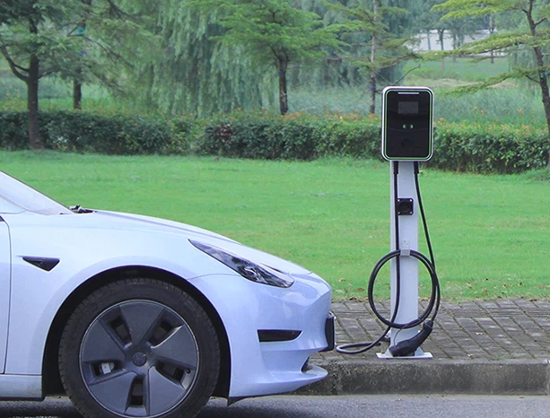 info-613-466 info-613-466